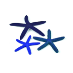    biOrb   Starfish ()